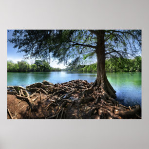 Tip of RedBud Isle on LadyBird Lake - Austin TX Poster