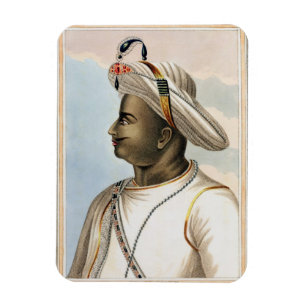 Tippoo Sultan (1749-99) plate from 'Picturesque Sc Magnet