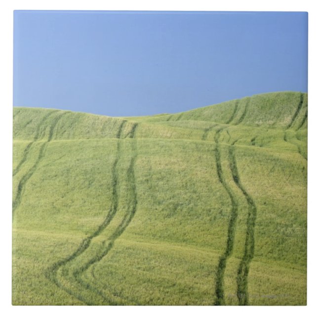 Tire Tracks in Wheat Field, Val d'Orcia, Siena Tile (Front)