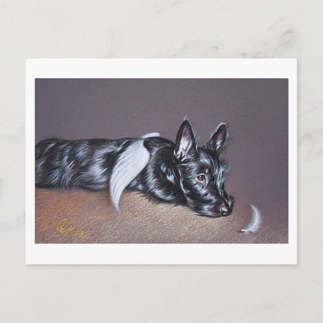 Tired Angel ( Scottie) Postcard (Front)
