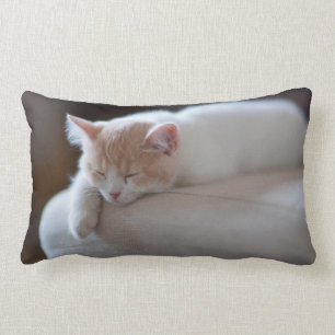 Tired Beige And White Kitten Lumbar Cushion