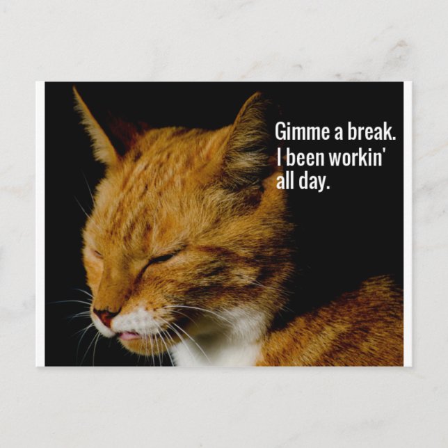 Tired Cat Design - "Gimme a break." Postcard (Front)