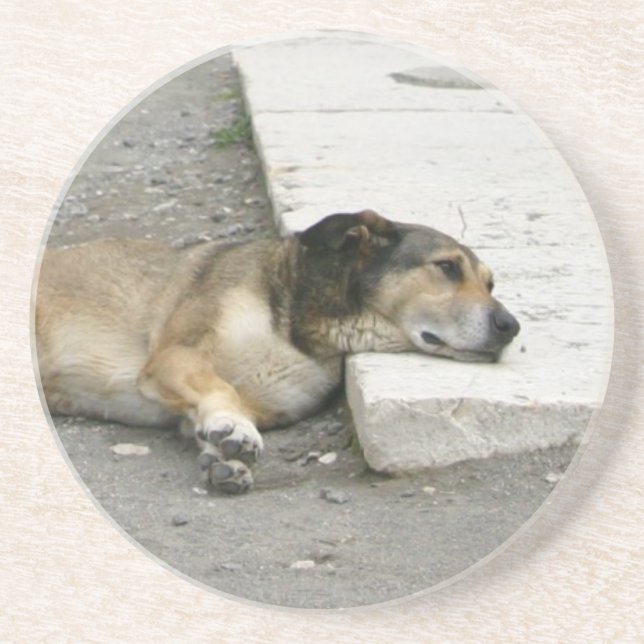 Tired Dog coaster, customisable Coaster (Front)
