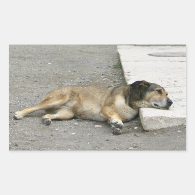 Tired Dog stickers, customise Rectangular Sticker (Front)