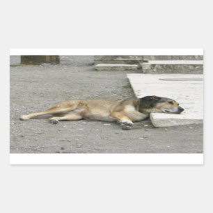 Tired Dog stickers, customise Rectangular Sticker