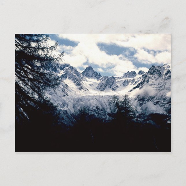 Tirol Postcard (Front)