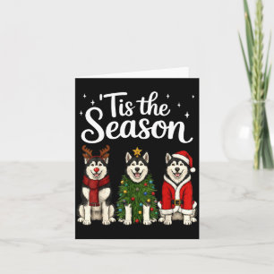 Tis Season Alaskan Malamute Christmas Card