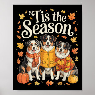 Tis The Season Australian Shepherd Fall Autumn Pum Poster