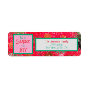 Tis the season for joy - red flowering gum