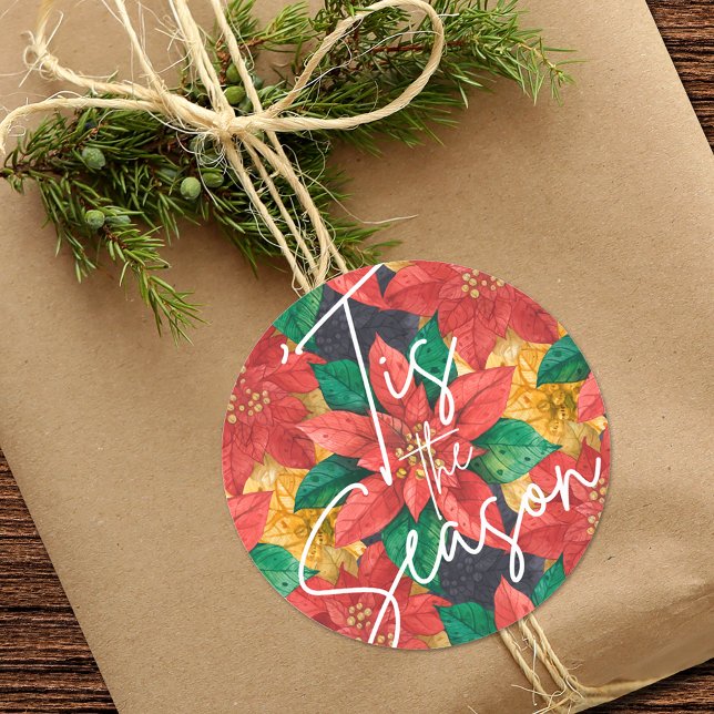 Tis the Season Poinsettia Christmas Holiday Classic Round Sticker (Creator Uploaded)