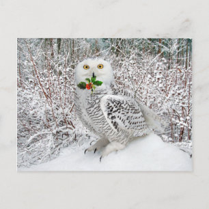 "T'is The Season" Postcard