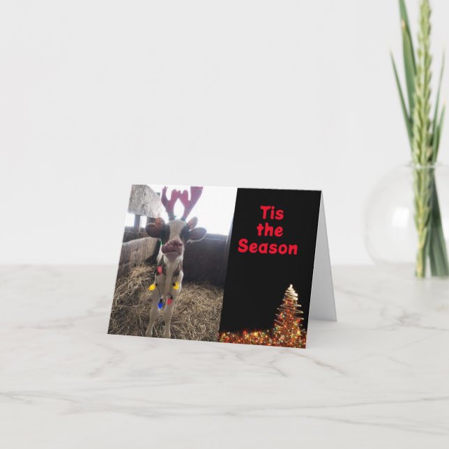 TIS THE SEASON TO **CELEBRATE WITH YOU** HOLIDAY CARD (Front)