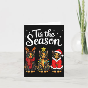 Tis The Season Tortoiseshell Cat Christmas Santa  Card