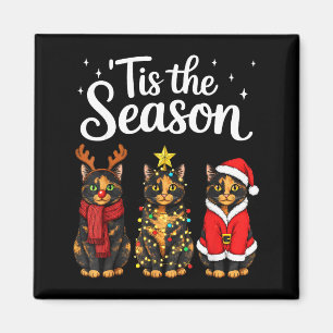 Tis The Season Tortoiseshell Cat Christmas Santa  Magnet