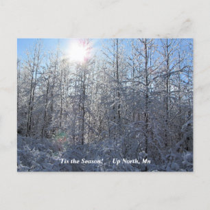 'Tis the Season  Up North, Mn Winter Holiday Postcard