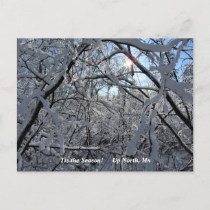 'Tis the Season Up North, Mn Winter Holiday Postcard