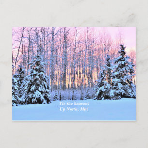 'Tis the Season  Up North, Mn Winter Holiday Postcard