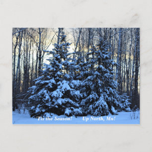 'Tis the Season  Up North, Mn Winter Holiday Postcard