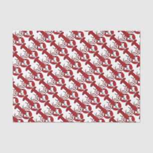 Tissue gift paper Nautical cute red lobster