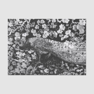 Tissue Paper BLACK AND WHITE PEACOCK