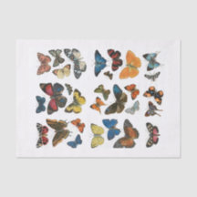 Tissue Paper butterfly decoupage