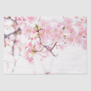 TISSUE PAPER: CHERRY BLOSSOMS TISSUE PAPER