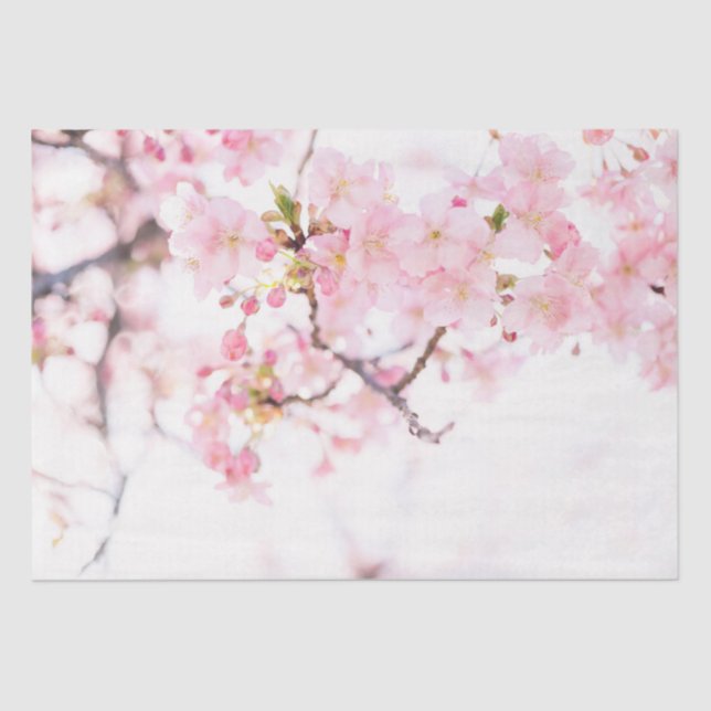 TISSUE PAPER: CHERRY BLOSSOMS TISSUE PAPER (Front)