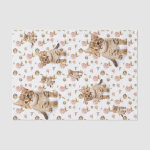 Tissue Paper Floral Kittens