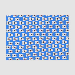 Tissue Paper Teeth Blue Dentists