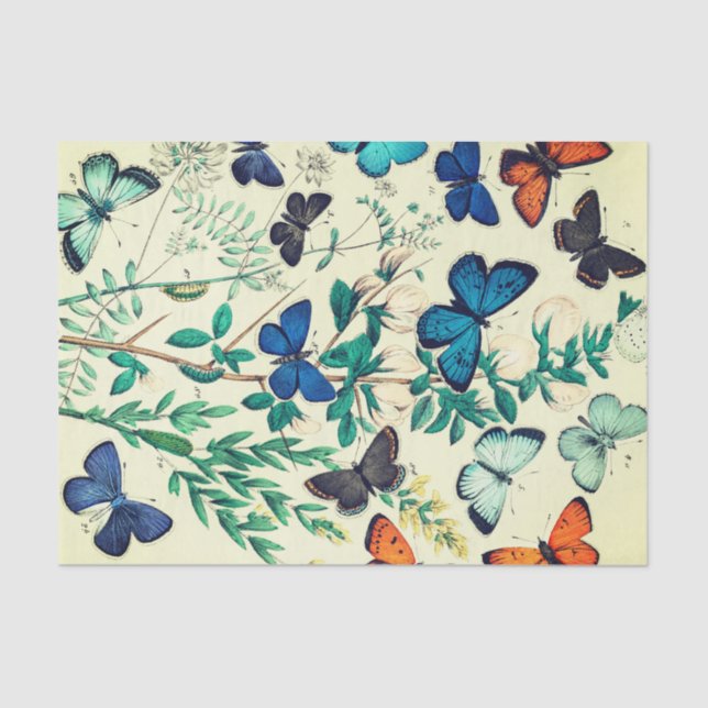 Tissue Paper Vintage Butterfly Design (Front)