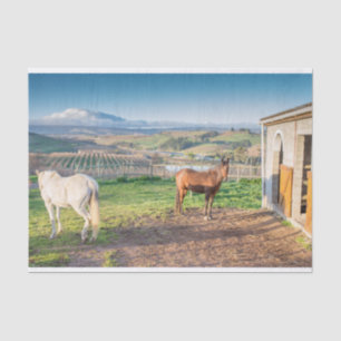 Tissue Paper with Image of Arabian Horses