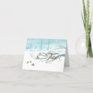 Tit Birds, Red Robins & Winter Landscape Holiday Card
