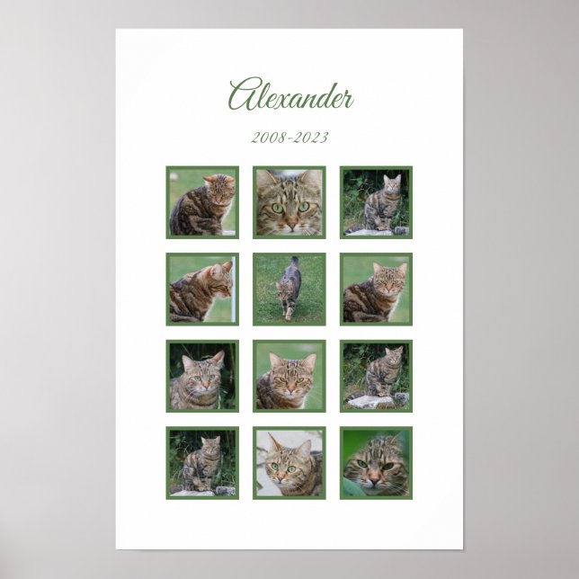 Title:  Customisable Pet Memorial Poster (Front)