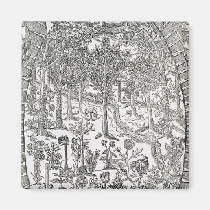 Title page from 'Paradisi Sole; Paradisus Terrestr Magnet