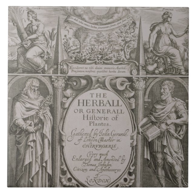 Title page to the second edition of 'The Herball' Tile (Front)