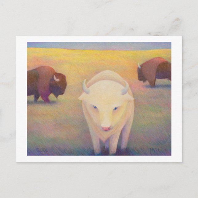 Titled:  Uncommon - sacred white buffalo Postcard (Front)