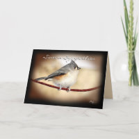 Titmouse 8903- customise any occasion