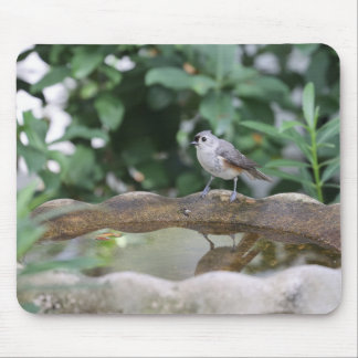 Titmouse at birdbath mouse pad