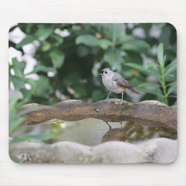 Titmouse at birdbath mouse pad (Front)