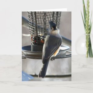 Titmouse Card