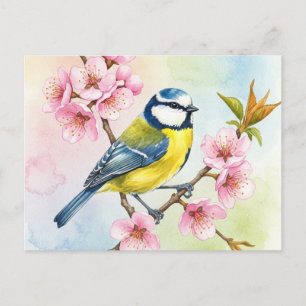 Titmouse, Sakura, Spring Postcard