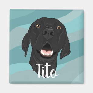 Tito Magnet