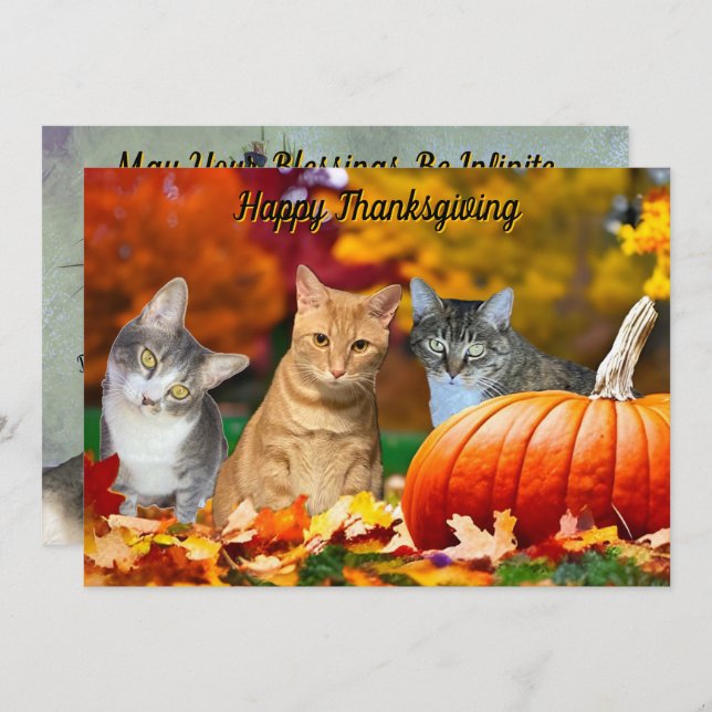 Tito, Taz, and Annie's 2025 Thanksgiving Flat Card (Front/Back)