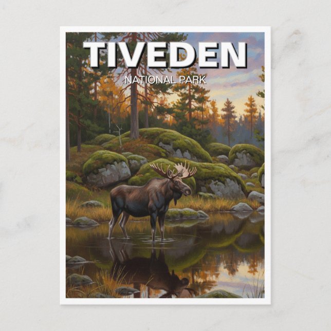 Tiveden National Park Sweden Travel Postcard (Front)