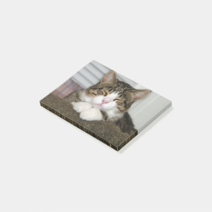 TJ POST-IT NOTES