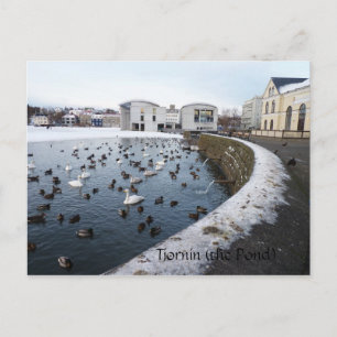 Tjornin (the Pond) ~ Reykjavik, Iceland Postcard