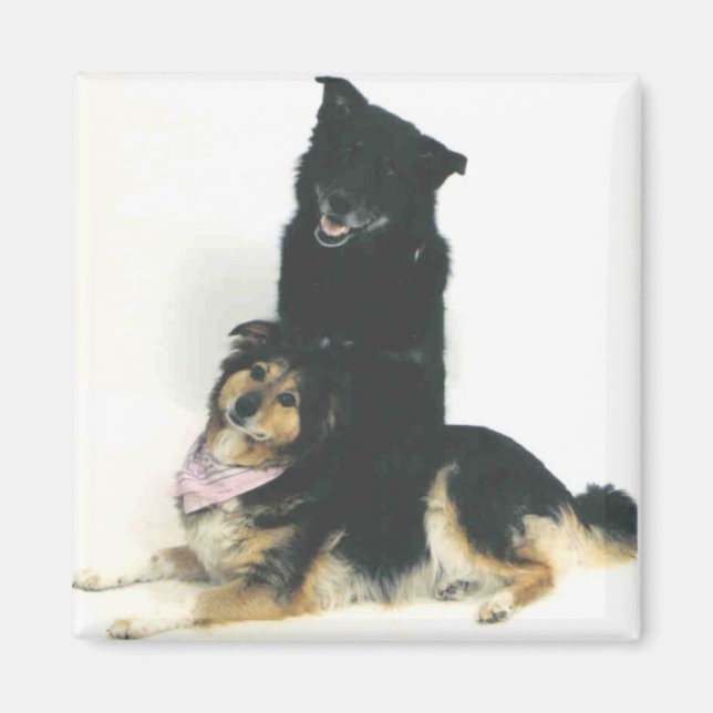 TK and Ka'vik Magnet (Front)