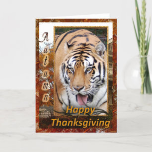 tkg-tiger-friends-5 holiday card