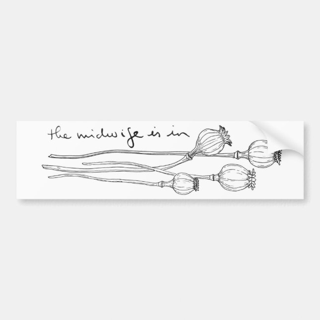 TMII bumper sticker (Front)