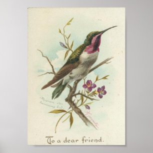 To a dear friend, Vintage Hummingbird Poster